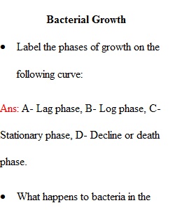 Lab 7